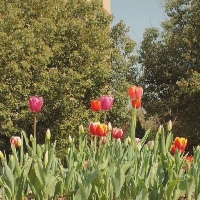 欧意交易所下载